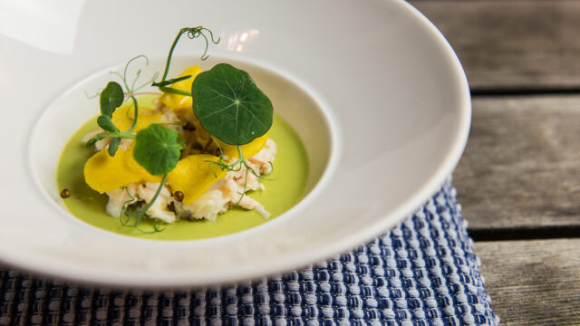 Krabbesalat på ertepannacotta